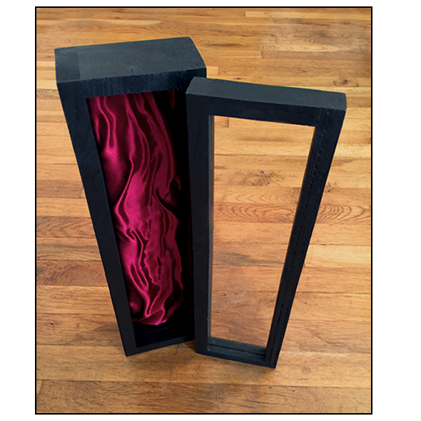 Wand Collector's Display Case