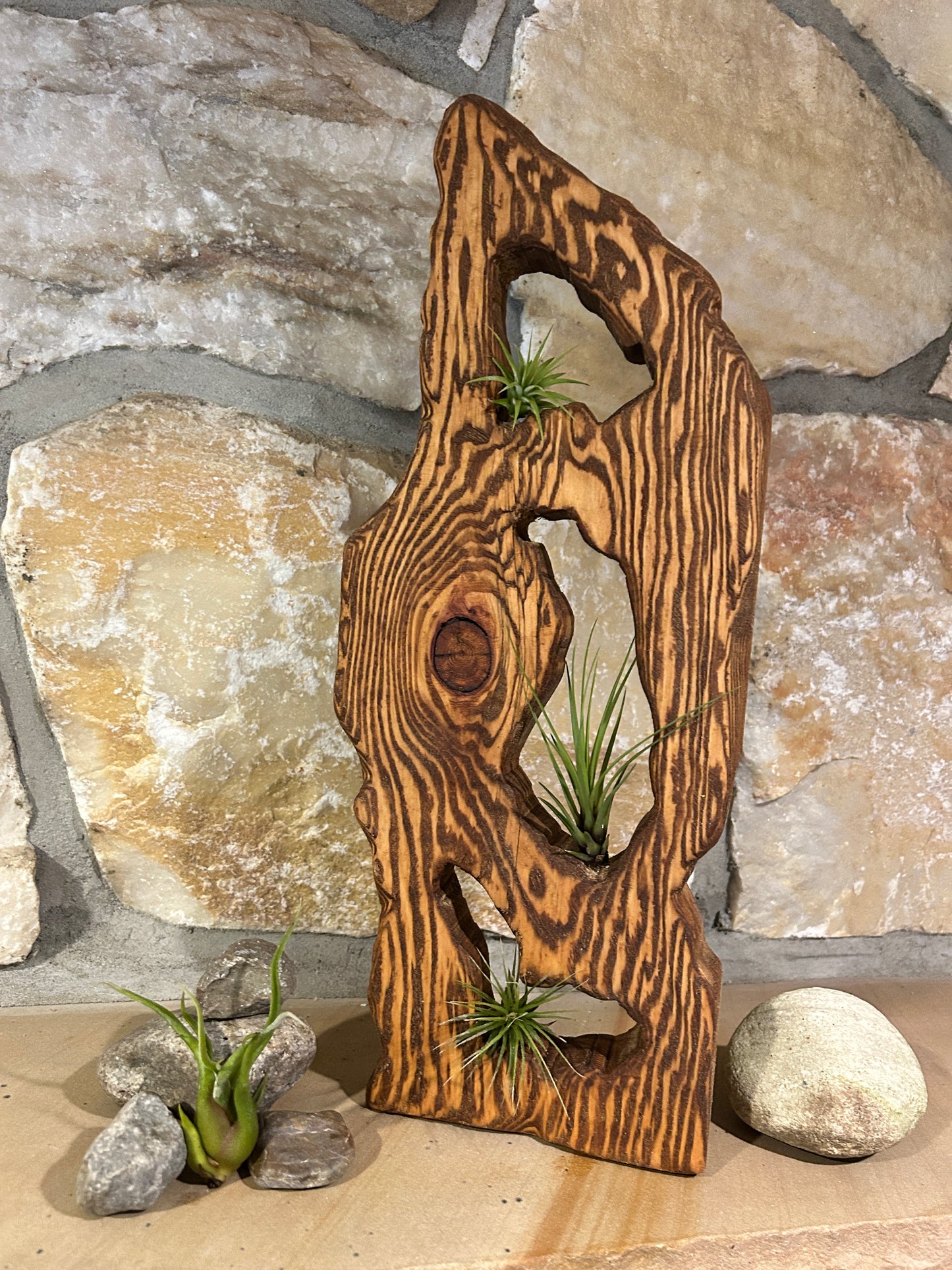 Air Plants in Solid Wood Sculpture