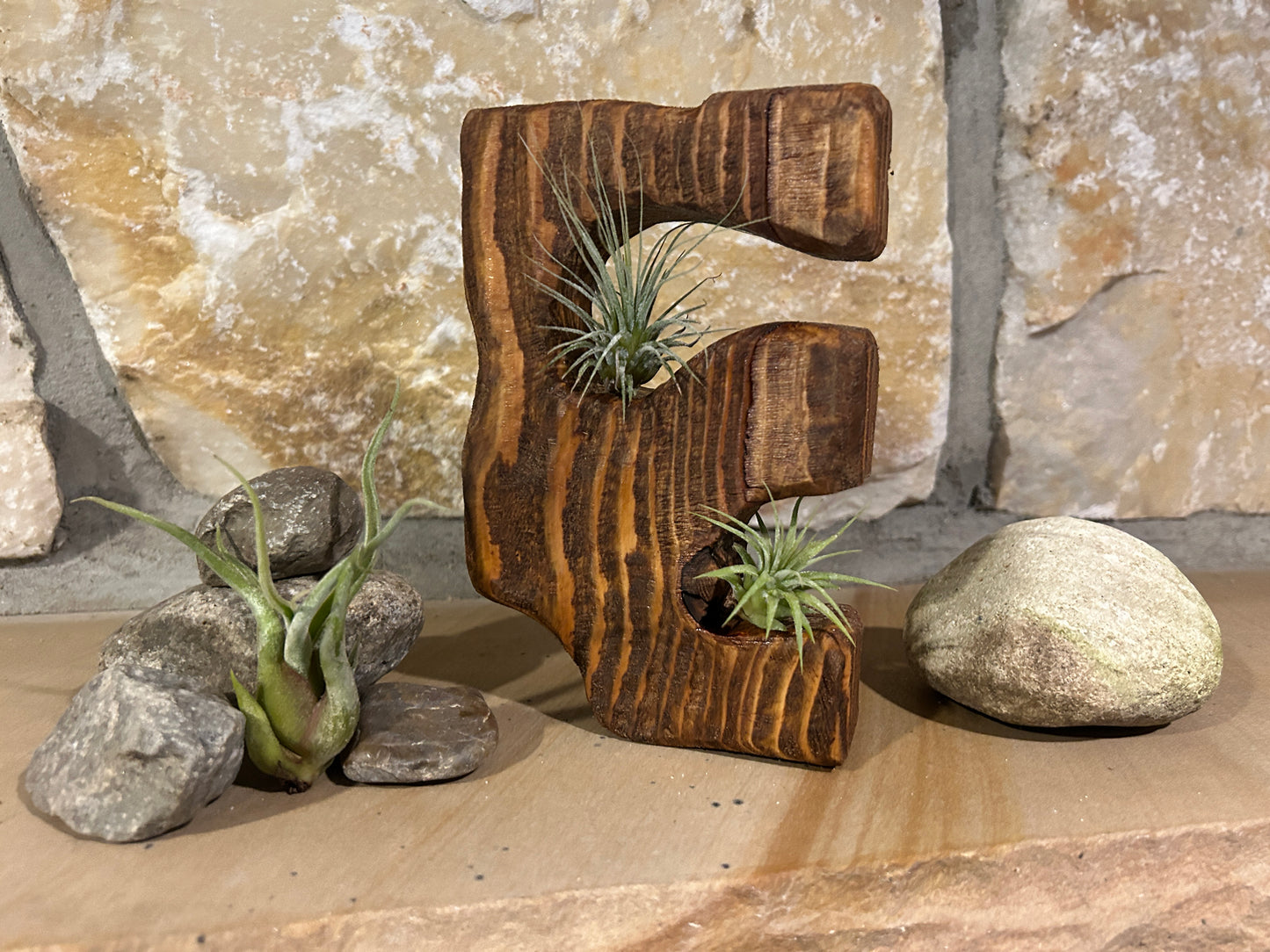 Solid Wood Sculpture with Air Plants