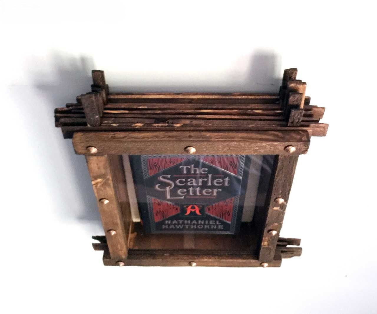 Book Collector Display Case with Custom Museum Glass