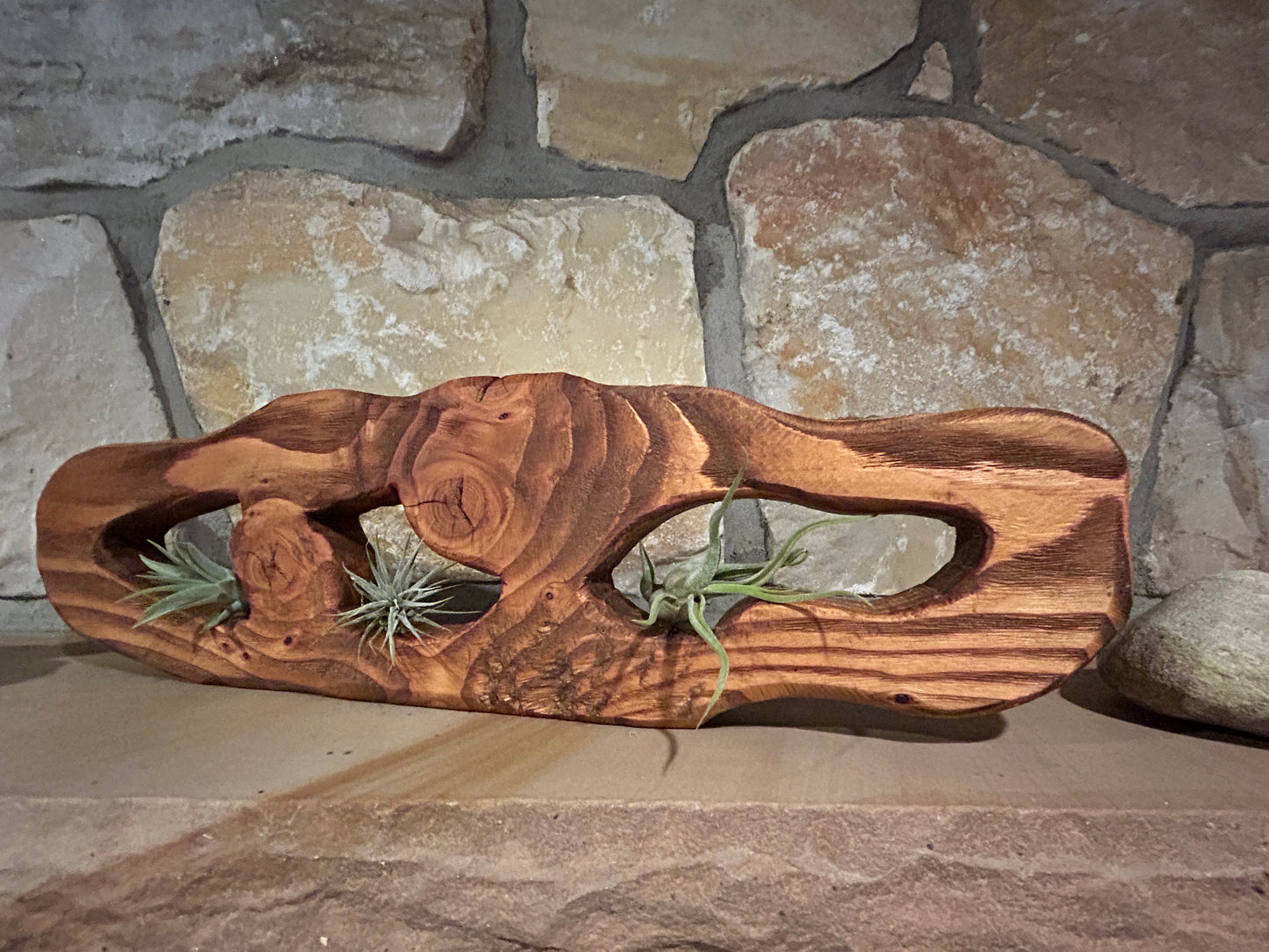 Solid Wood Sculpture with Air Plants