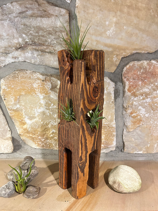Solid Wood Sculpture with Air Plants