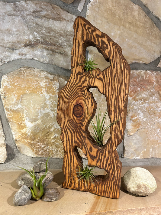 Air Plants in Solid Wood Sculpture