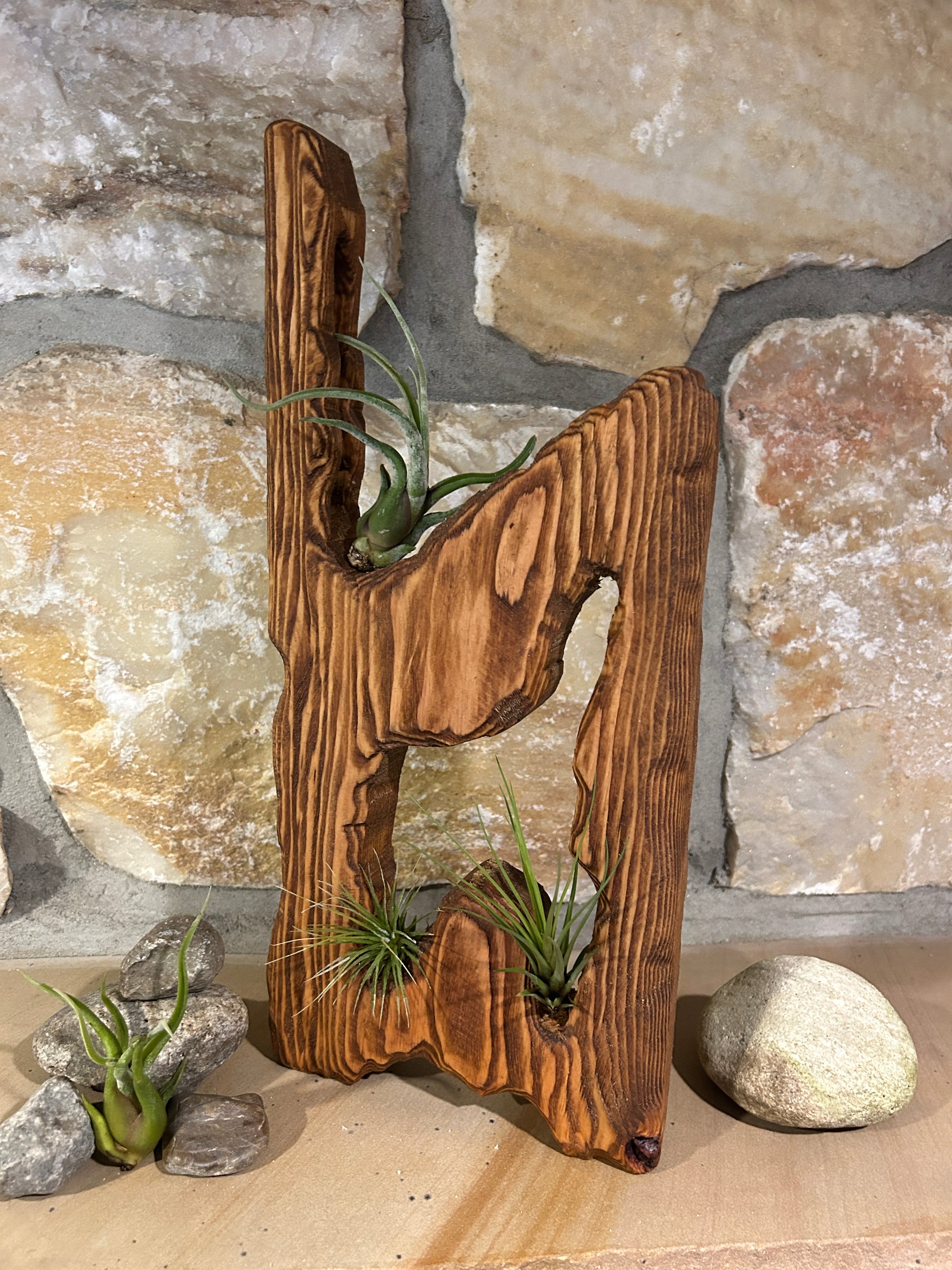 Solid Wood Sculpture with Airplants