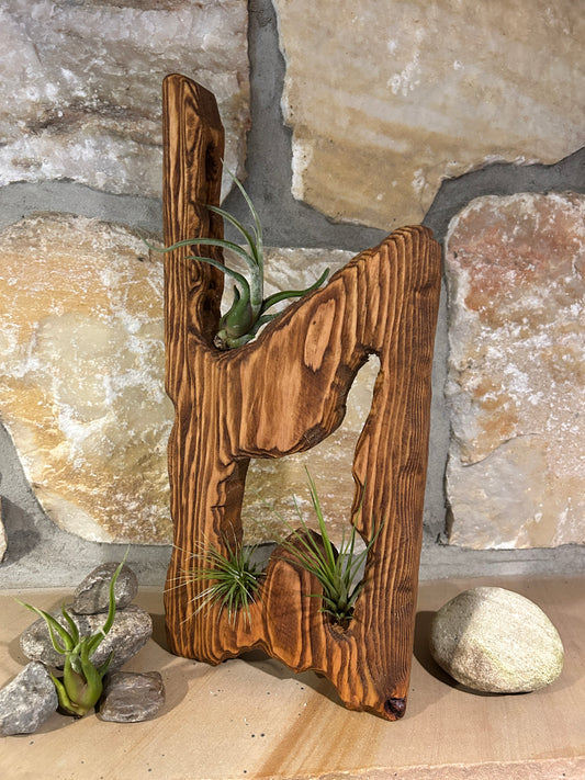 Solid Wood Sculpture with Airplants