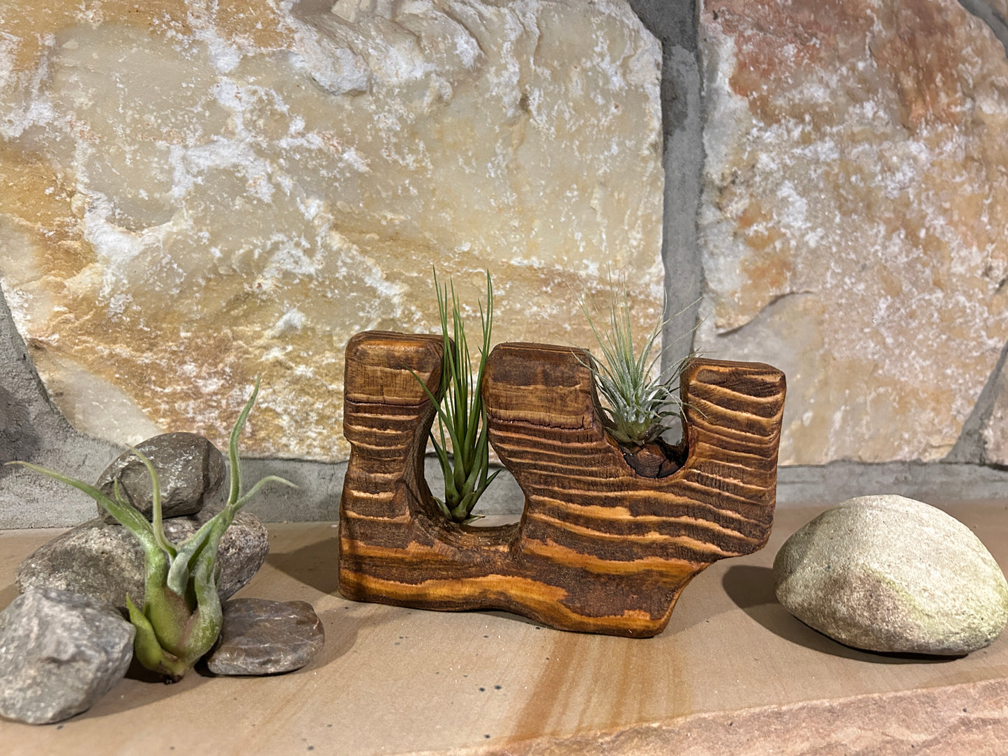 Solid Wood Air Plant Holder