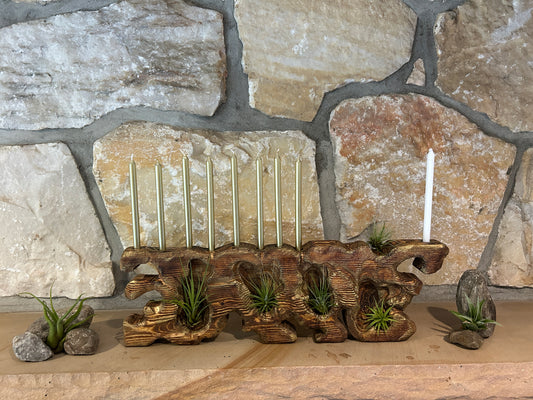 Living Sculpture Chanukah Menorah 3 - Solid Wood with Air Plants