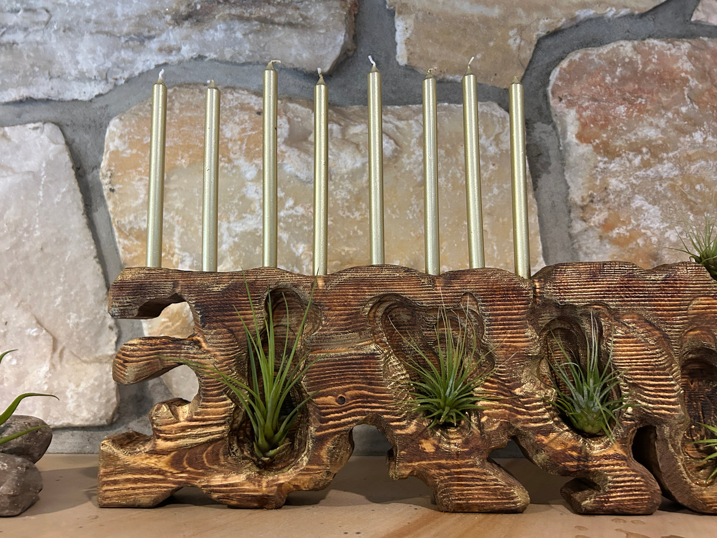 Living Sculpture Chanukah Menorah 3 - Solid Wood with Air Plants
