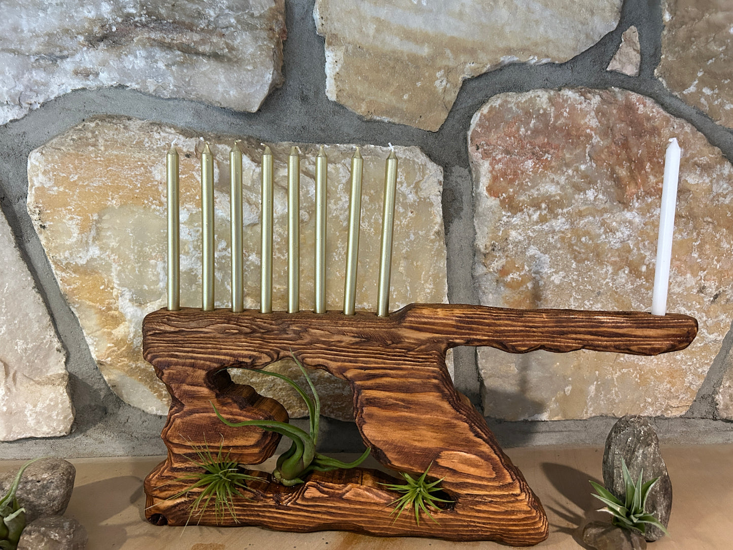 Living Sculpture Chanukah Menorah 4 - Solid Wood with Air Plants