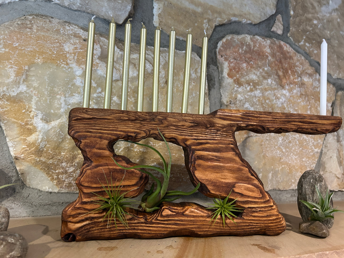 Living Sculpture Chanukah Menorah 4 - Solid Wood with Air Plants