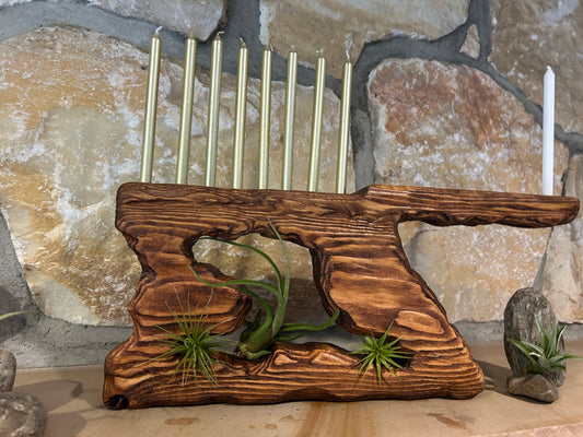 Living Sculpture Chanukah Menorah 4 - Solid Wood with Air Plants