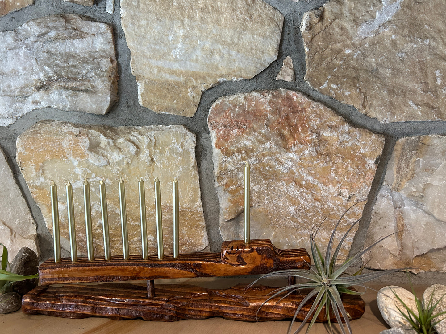 Living Sculpture Chanukah Menorah 8- Solid Wood with Air Plants