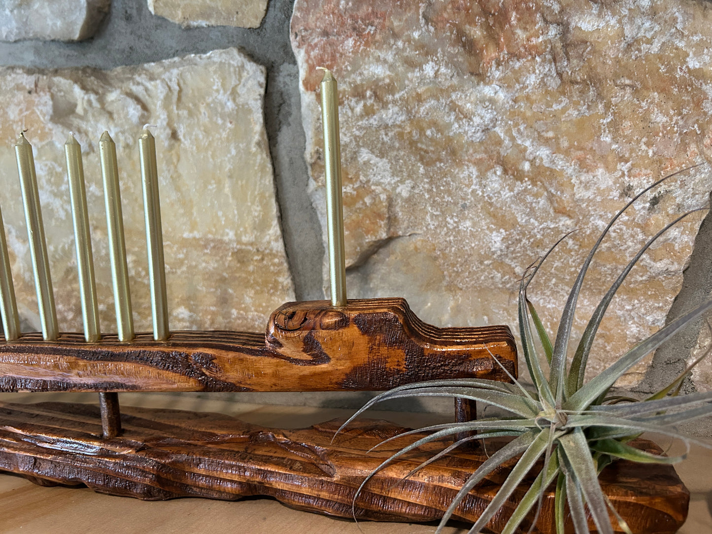 Living Sculpture Chanukah Menorah 8- Solid Wood with Air Plants