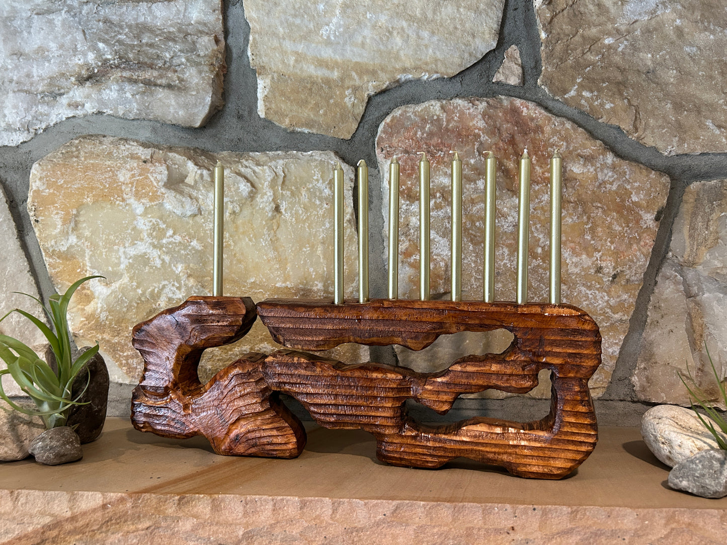 Living Sculpture Chanukah Menorah 5- Solid Wood with Air Plants