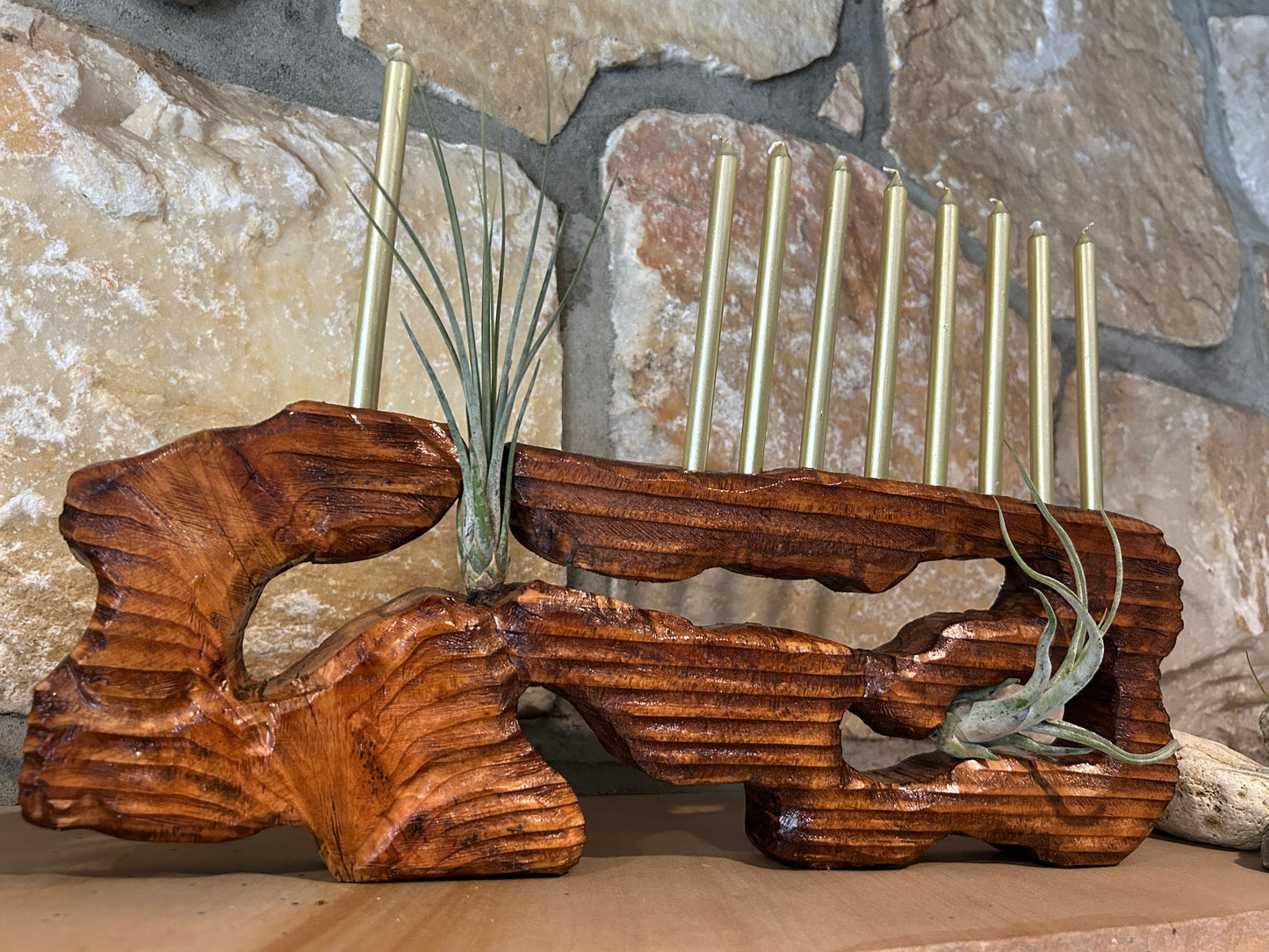 Living Sculpture Chanukah Menorah 5- Solid Wood with Air Plants