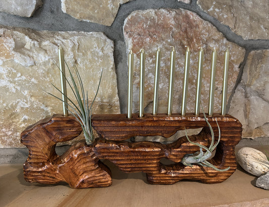 Living Sculpture Chanukah Menorah 5- Solid Wood with Air Plants