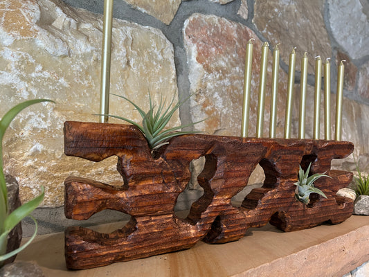 Living Sculpture Chanukah Menorah 6- Solid Wood with Air Plants