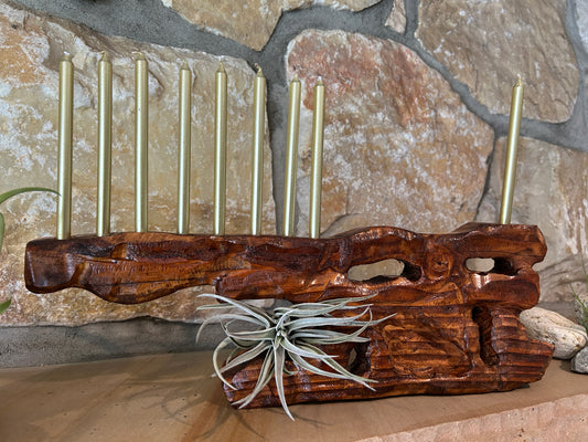 Living Sculpture Chanukah Menorah 7- Solid Wood with Air Plants