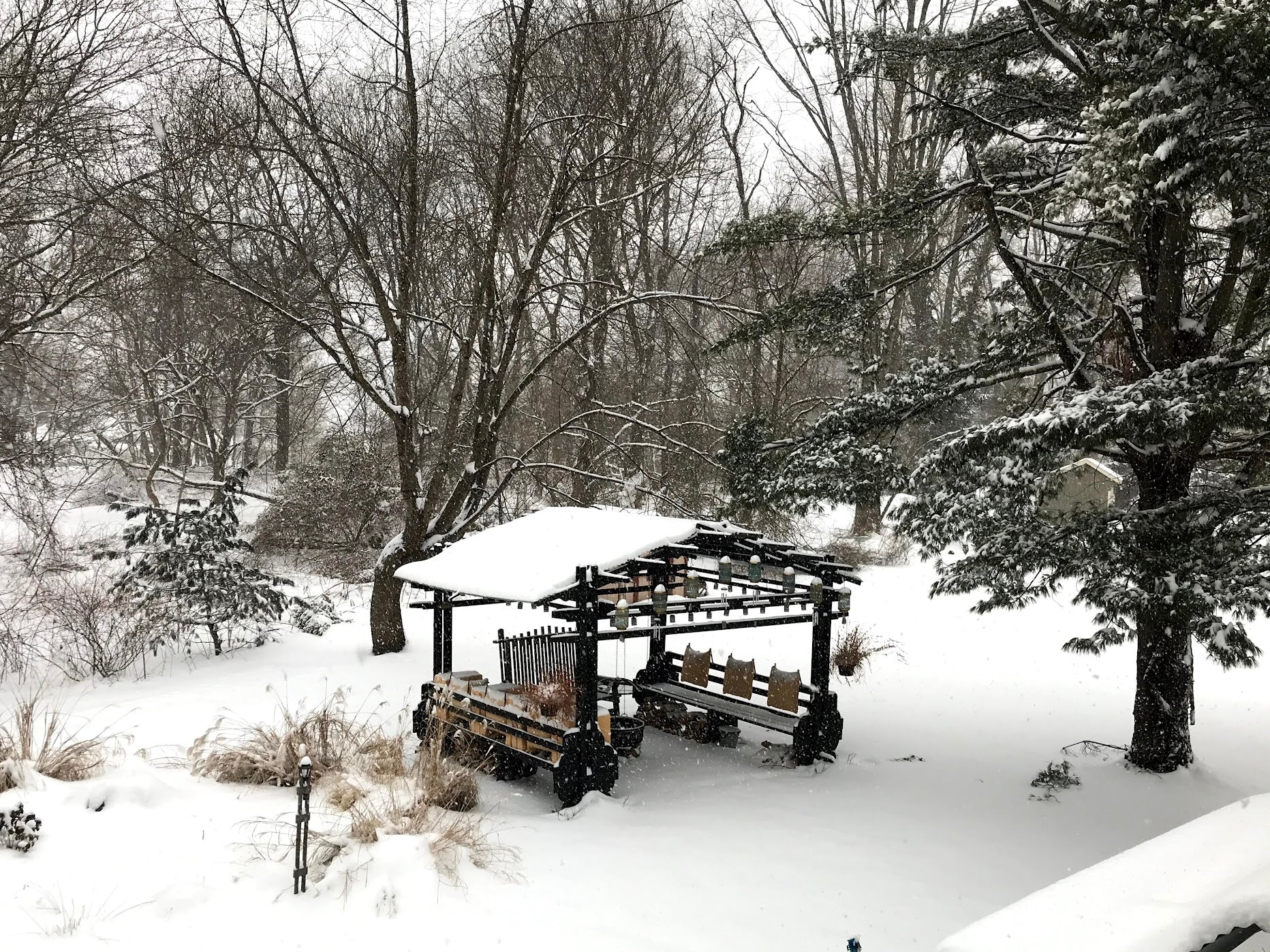 A black wooden gazebo with a galvanized steel roof in the snow surrounded by trees.